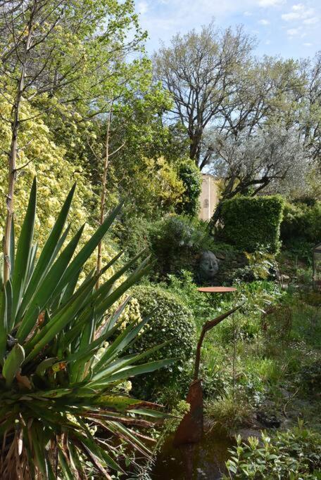 La Petite Maison Des Artistes Séguret Dış mekan fotoğraf