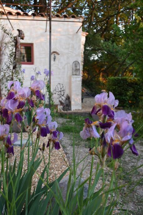 La Petite Maison Des Artistes Séguret Dış mekan fotoğraf