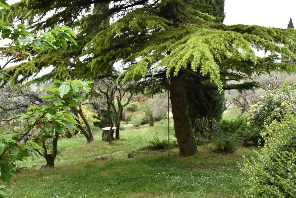 La Petite Maison Des Artistes Séguret Dış mekan fotoğraf